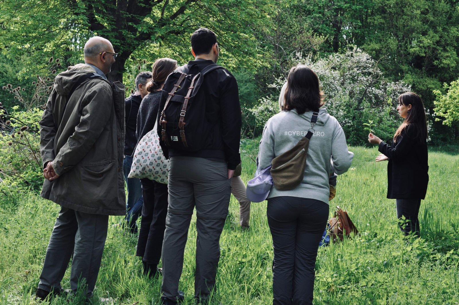 Stage plantes sauvages paris