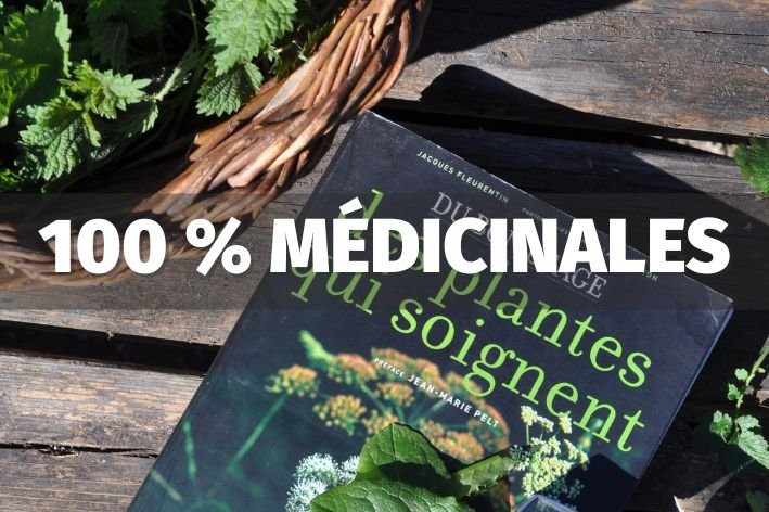 vignette stage plantes médicinales