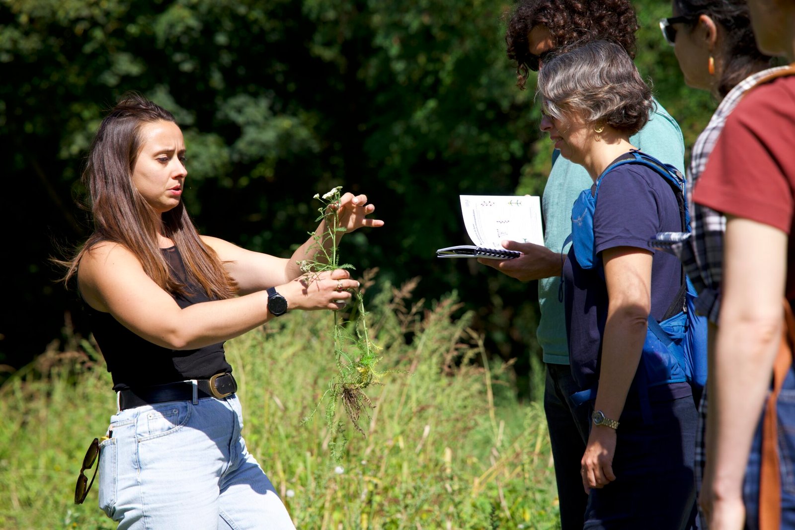 Groupe stage de plantes médicinales