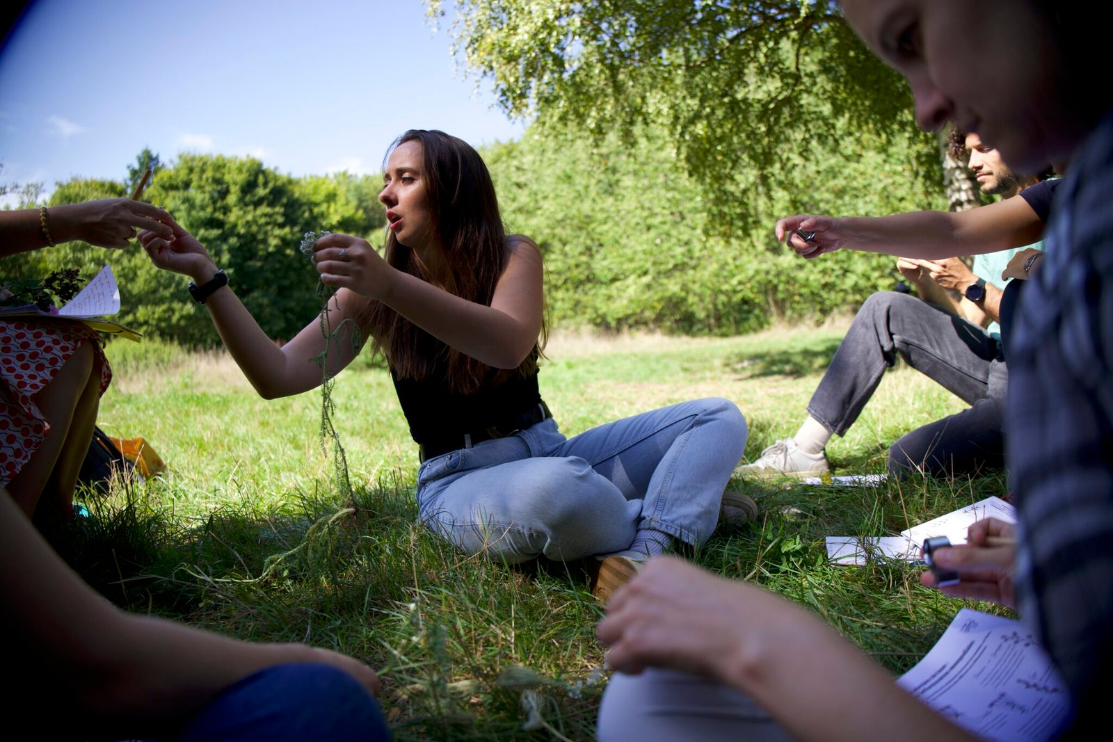 Adeline groupe stage