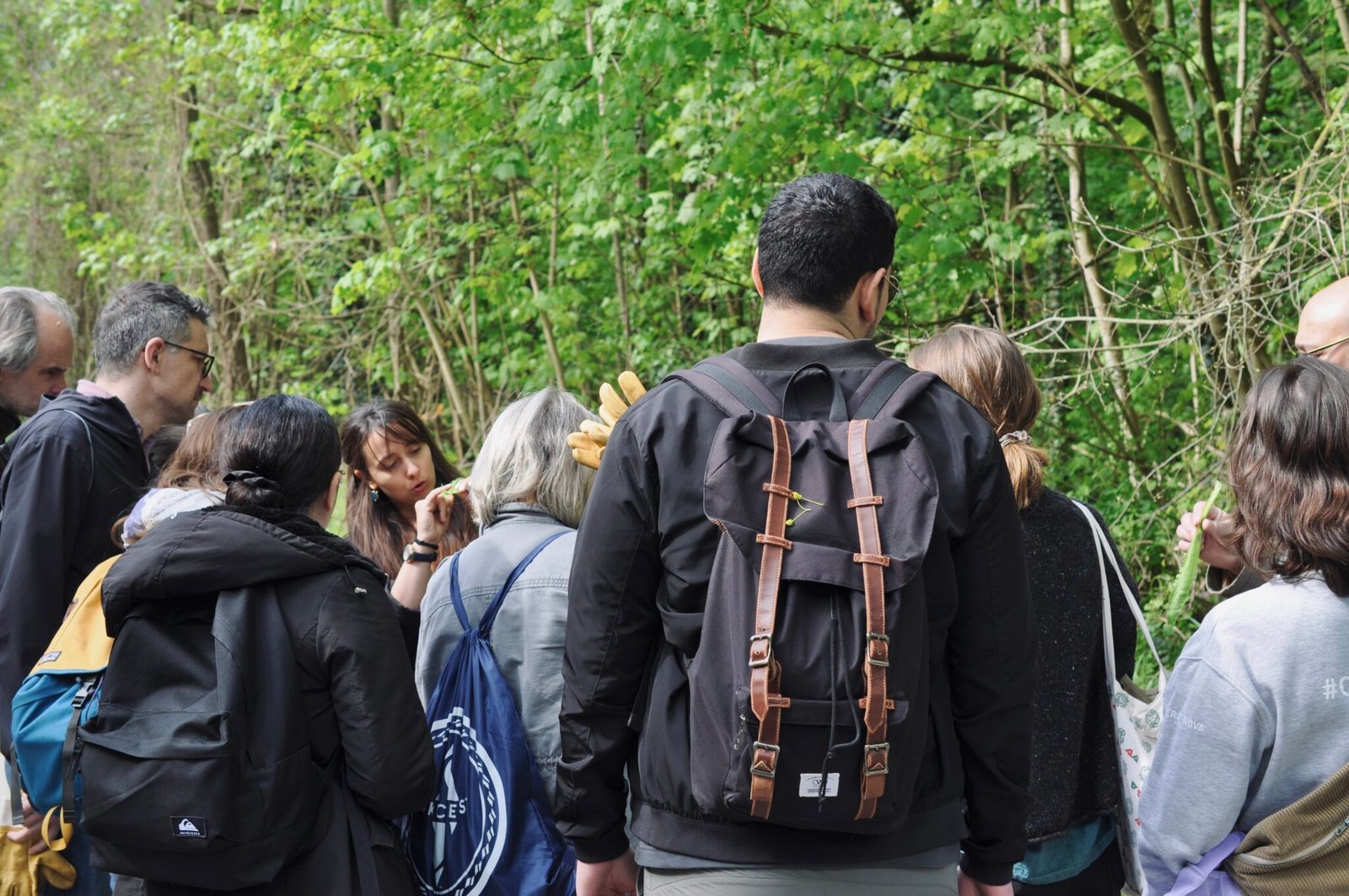 Groupe balade plantes sauvages