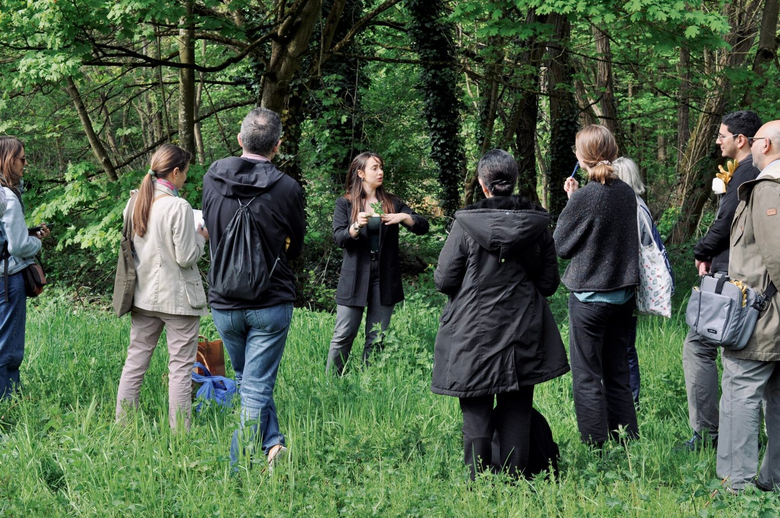 Groupe balade plantes sauvages