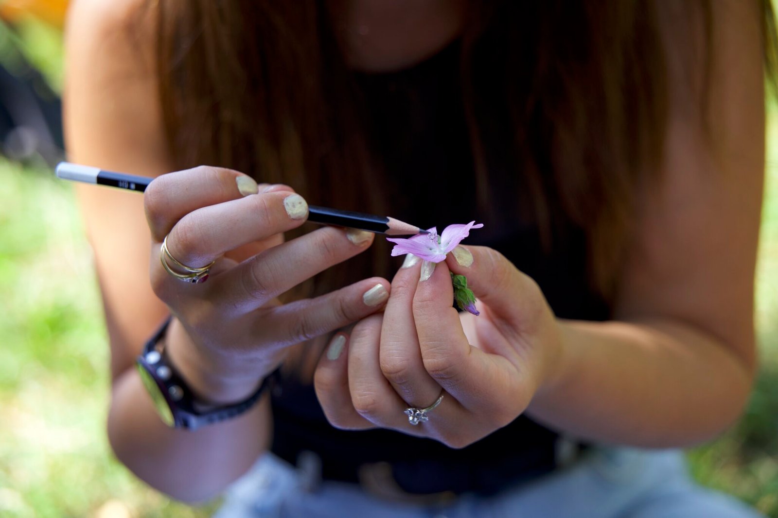 explication mauve alcée pendant stage de botanique à Paris