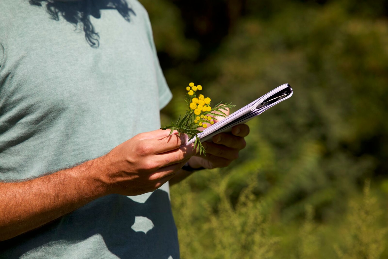 livret totem et tanaisie